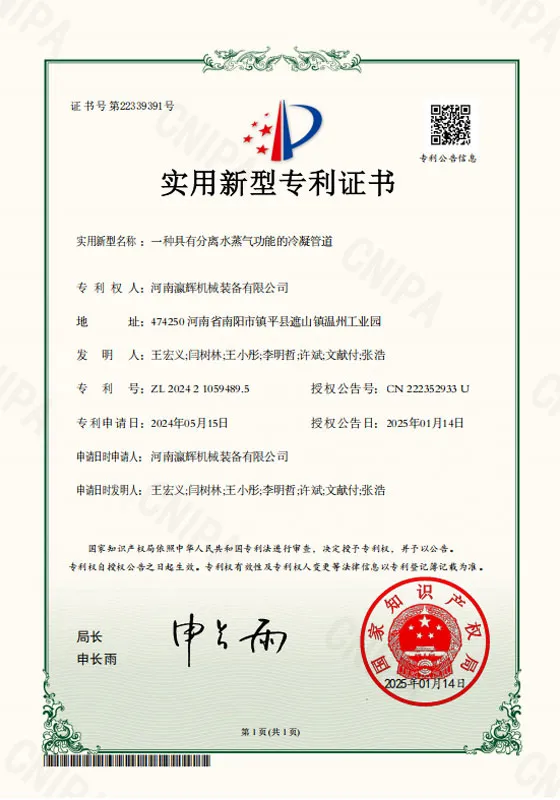 zs1 (26)